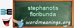 WordMeaning blackboard for stephanotis floribunda